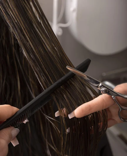 b861aaea-b0ce-45af-bc17-bc0301f353ca-woman-having-hair-brushed-latino-hair-salon(1).jpg